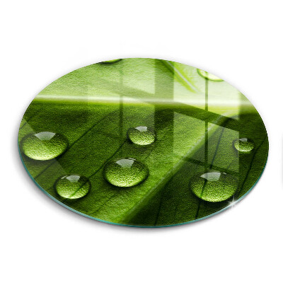 Skleněná krájecí deska okrągła Příroda rosa a list