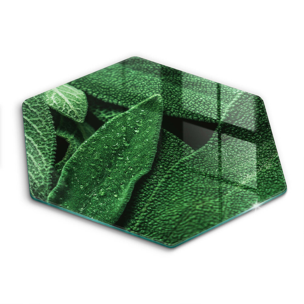 Skleněná deska do kuchyně Listy rostlin