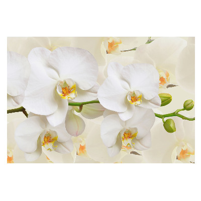Samolepící tapeta Bílé orchideje, svěžest moderního stylu