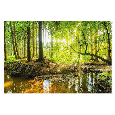 Tapeta Lesní klid, světlo, potok