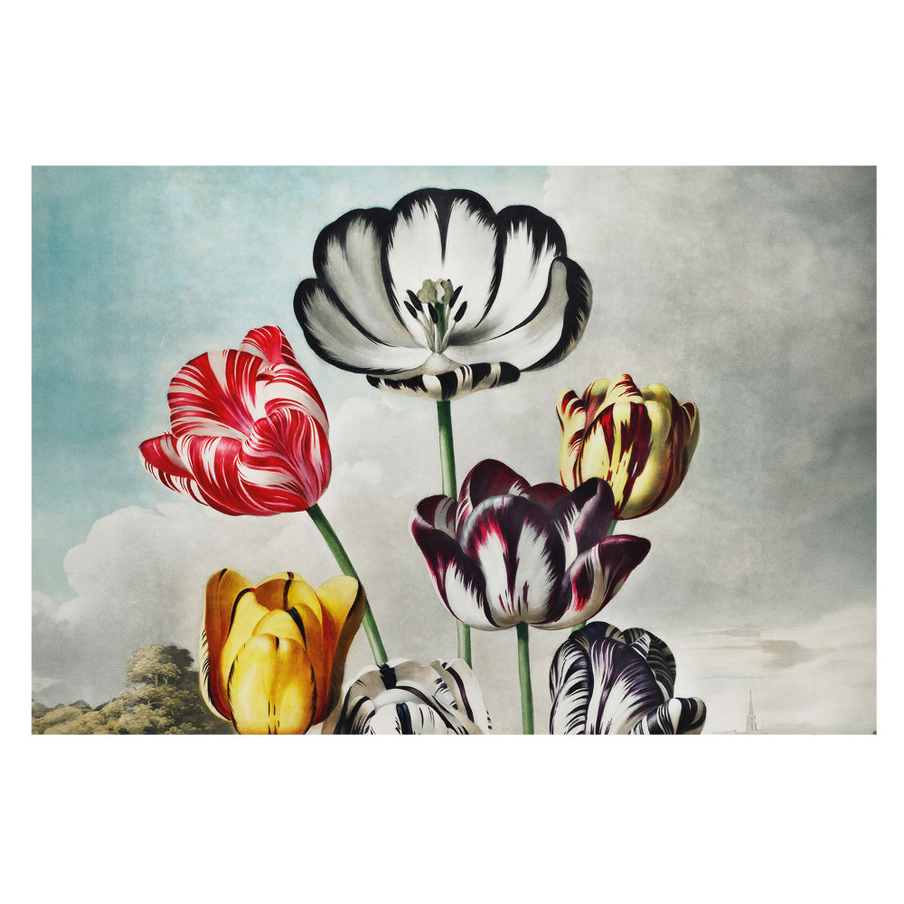 Samolepící tapeta Kytice tulipánů, klasická elegance