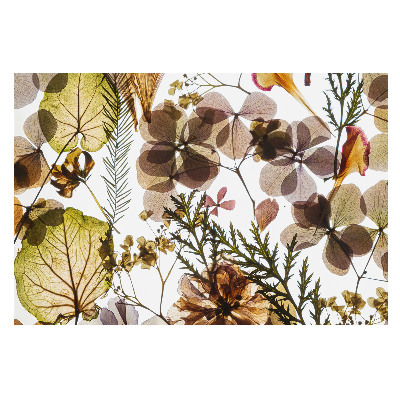 Tapeta do obyvaku Sušené listy a květiny v boho stylu