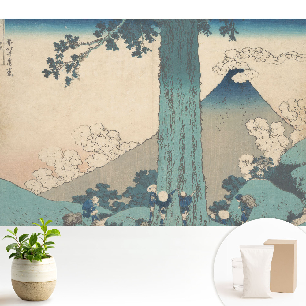 Tapeta Japonská krajinářská estetika harmonie
