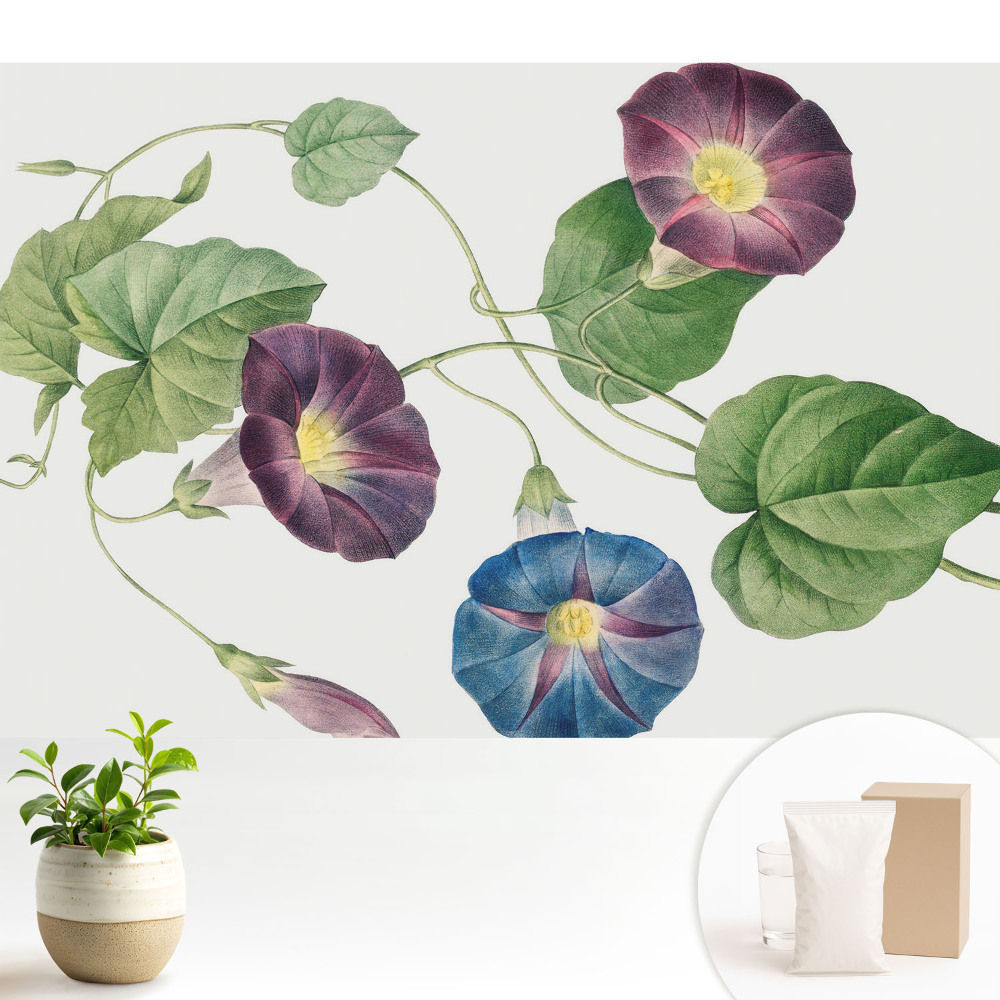 Samolepící tapeta Jemné květinové botanické motivy