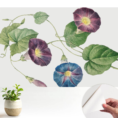 Tapeta Jemné květinové botanické motivy