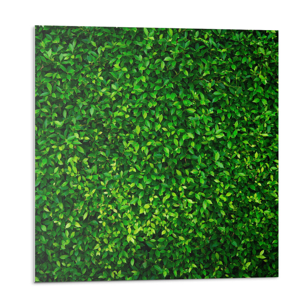 Pvc obklady Hustá stěna listů