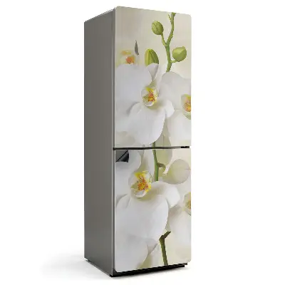 Magnet na ledničku Květinové akcenty orchidejí