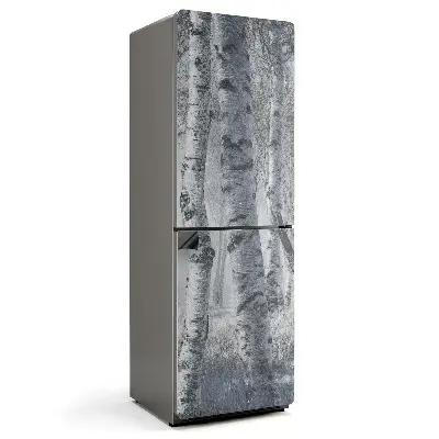 Magnet na ledničku Mlžné březové houští