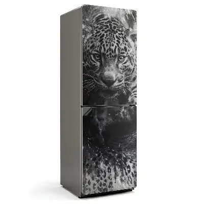 Magnet na ledničku Divoká tvář jaguára