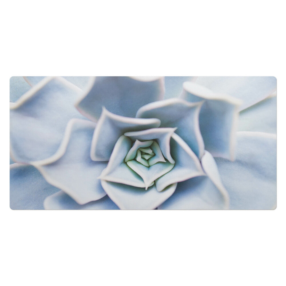 Podložka na stůl Spirální sukulenty