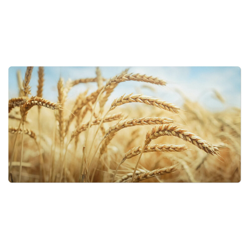 Pracovní podložka na stůl Klasy kukuřice na poli
