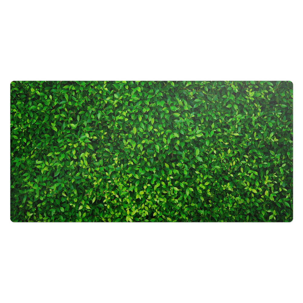 Podložka na stůl Listnatá stěna přírody