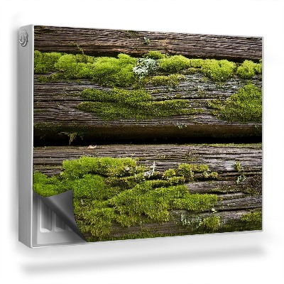 Magnet na radiátor Staré dřevěné desky pokryté mechem