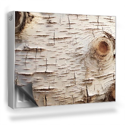 Dekorativní magnet na radiátor Detail březové kůry v přírodních barvách