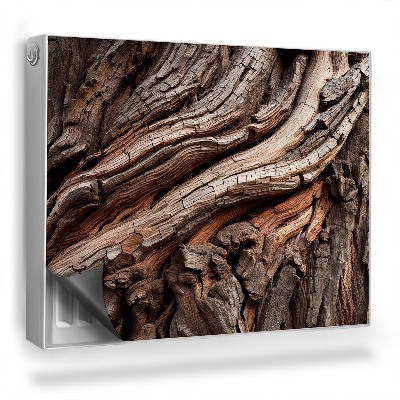 Dekorativní magnet na radiátor Textura kůry stromu staré dřevo