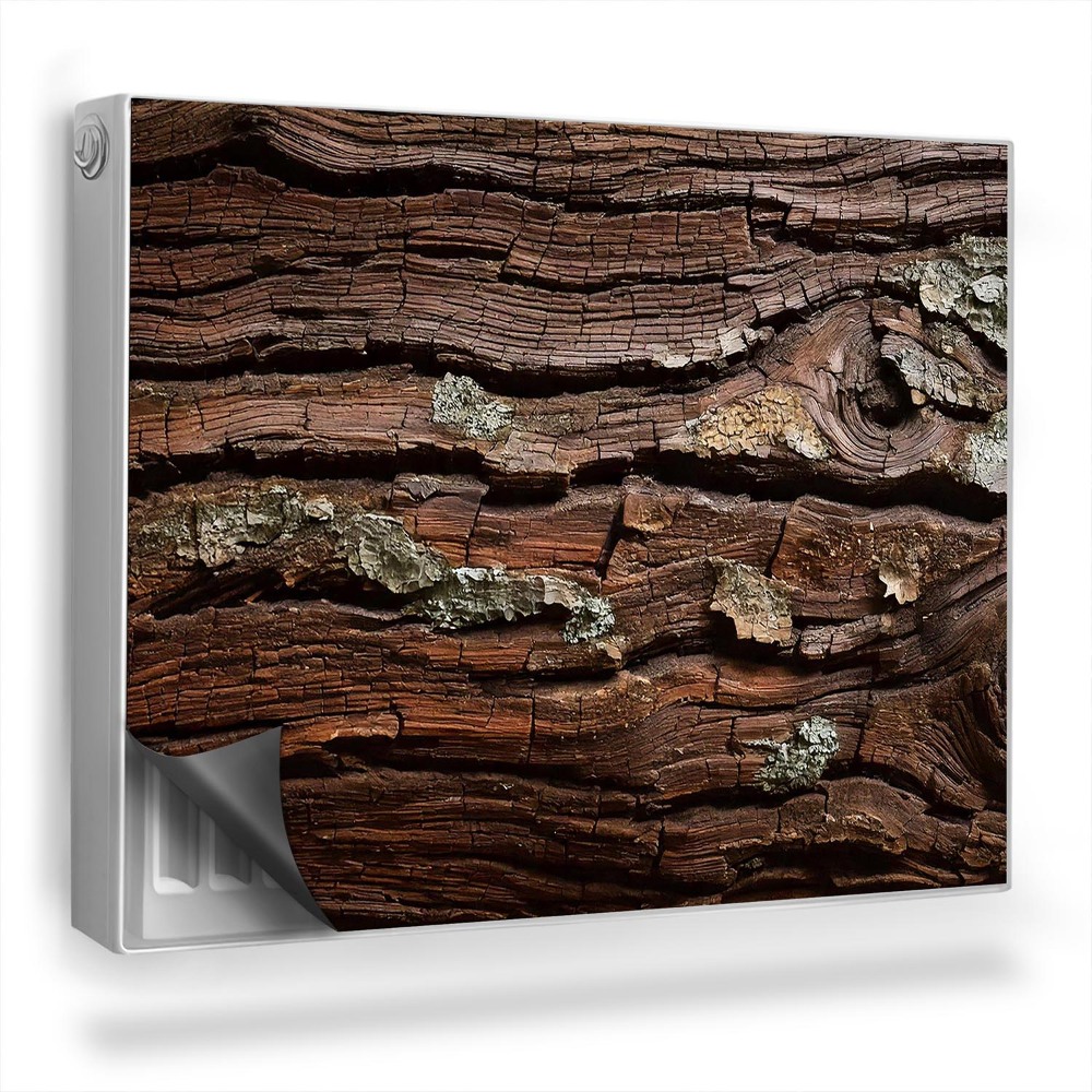 Magnet na radiátor Textura kůry stromu staré dřevo