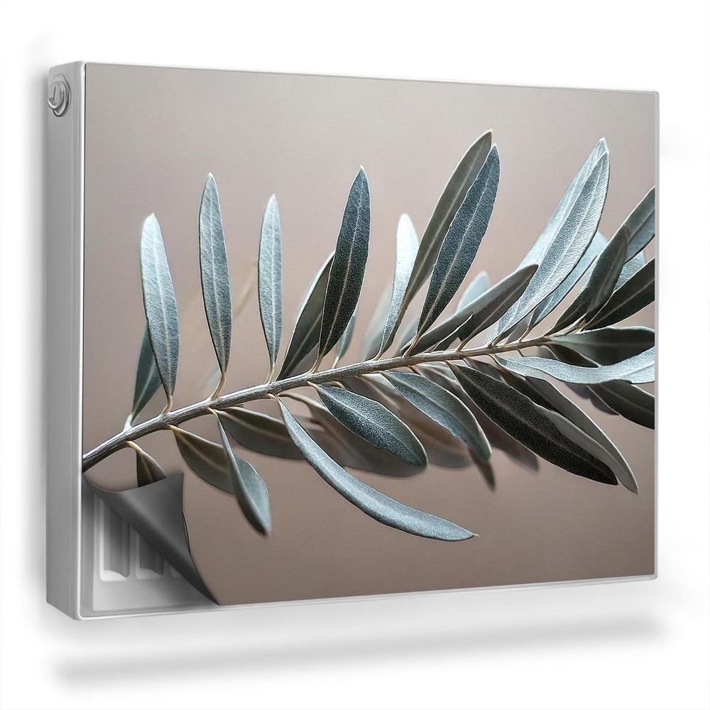 Magnet na radiátor Tlumené barvy olivové větve