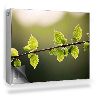 Dekorativní magnet na radiátor Zvětšení větviček s malými listy, šťavnatě zelené