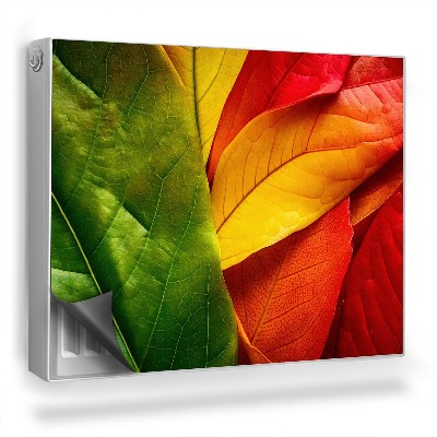 Magnet na radiátor Detail barevných listů rostliny
