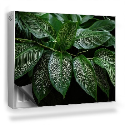 Magnet na radiátor Větev s tropickými lesklými listy