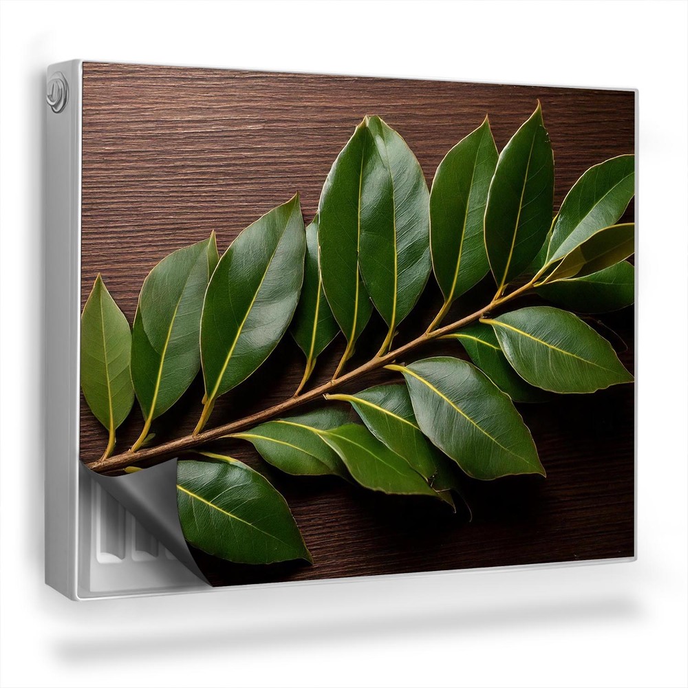 Dekorativní magnet na radiátor Větev s tmavými listy na dřevěném pozadí