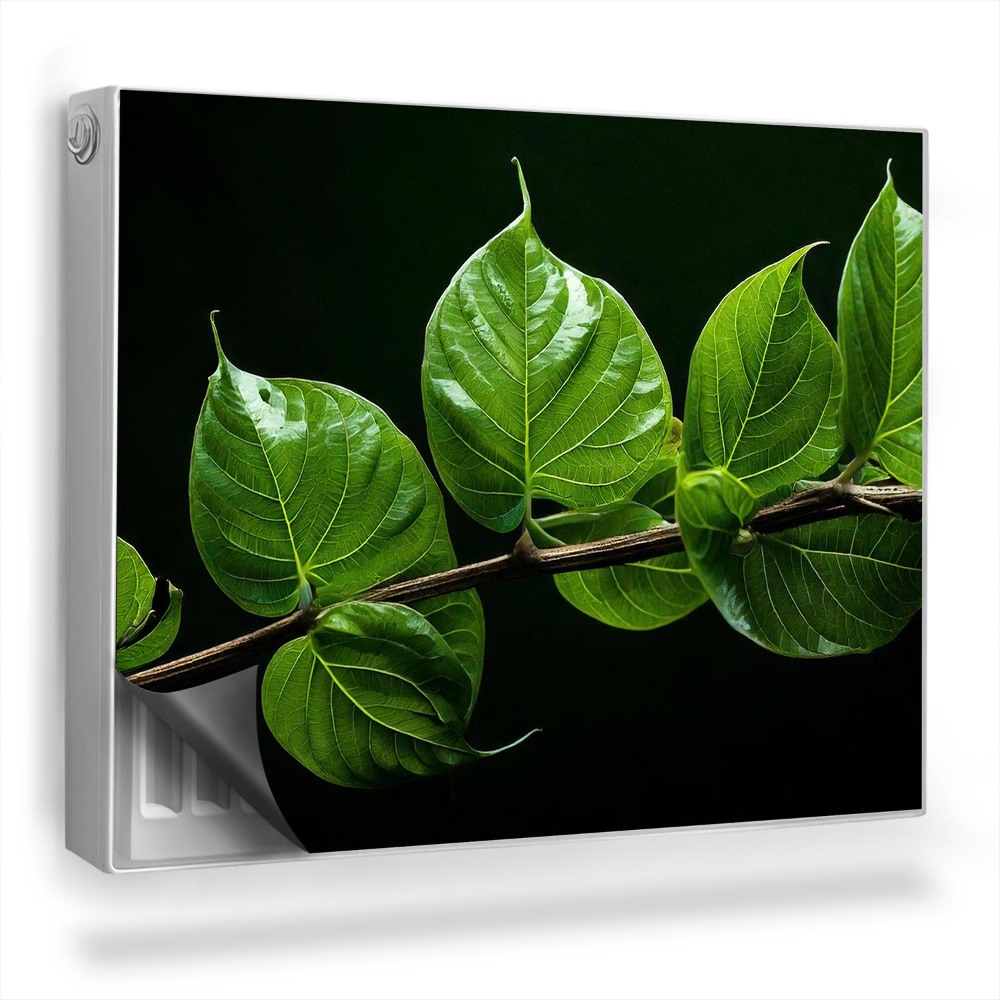 Magnetický kryt na radiátor Větev s intenzivně zelenými listy