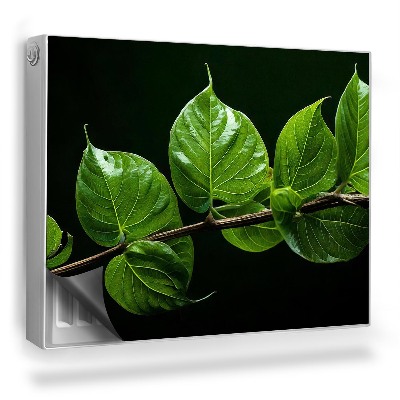 Magnetický kryt na radiátor Větev s intenzivně zelenými listy