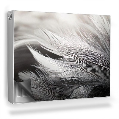 Magnetický kryt na radiátor Černobílé jemné ptačí peří