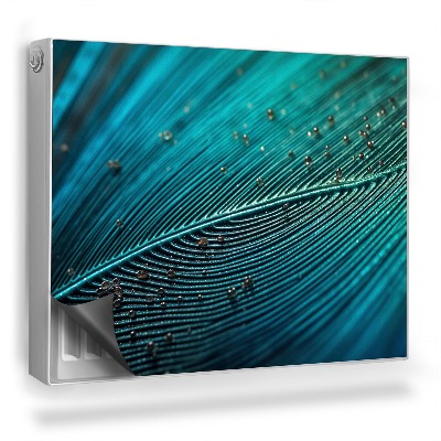 Magnetický kryt na radiátor Detail intenzivní struktury peří