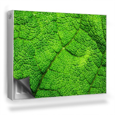 Magnet na radiátor Přibližte si buněčnou strukturu listu