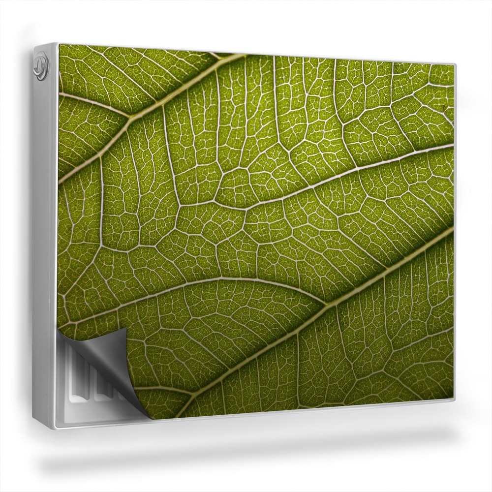 Dekorativní magnet na radiátor Systém žilkování listů přiblížení