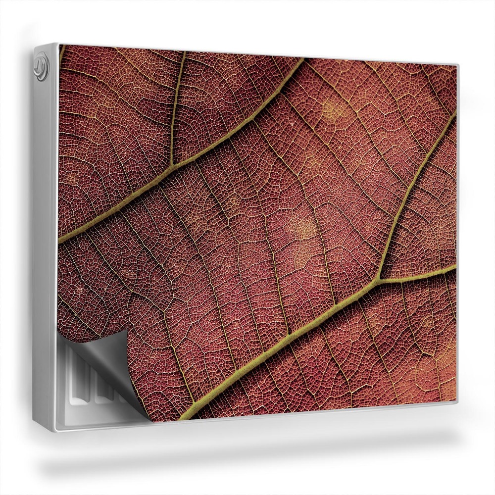 Dekorativní magnet na radiátor Rostlinné žilky přírodní textura listů
