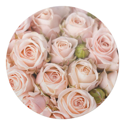 Ochranná podložka pod židli kulatá Kytice růží