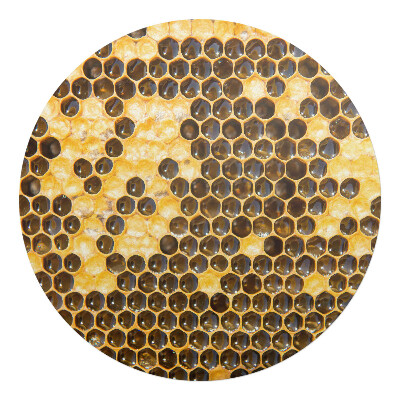 Ochranná podložka na podlahu kulatá Plást včel