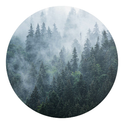 Podložka pod křeslo kulatá Mlžný jehličnatý les