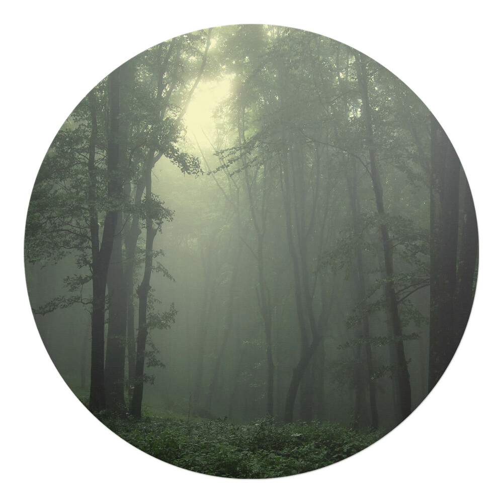 Podložka pod židli kulatá Mlžný les za úsvitu