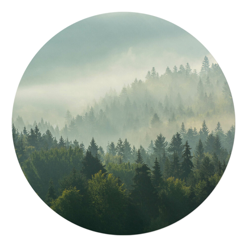 Ochranná podložka pod židli kulatá Mlžný les za úsvitu