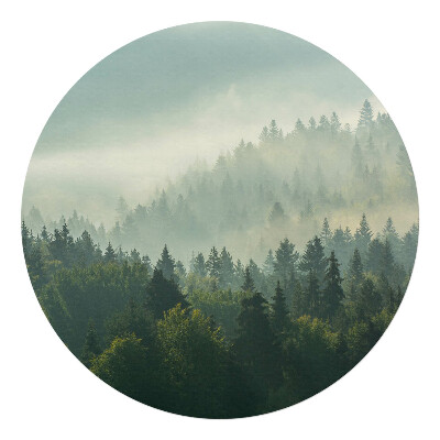 Ochranná podložka pod židli kulatá Mlžný les za úsvitu