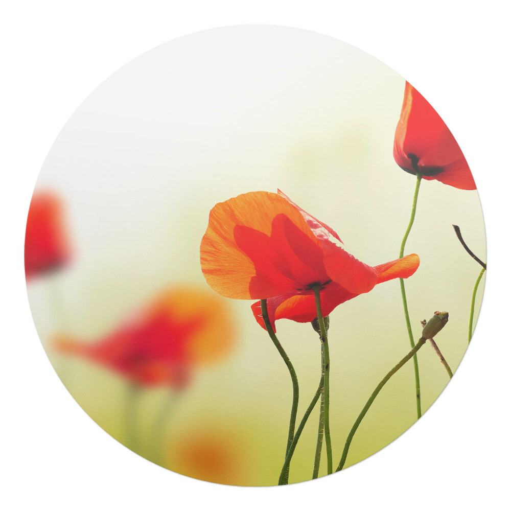 Ochranná podložka na podlahu kulatá Květiny ve větru