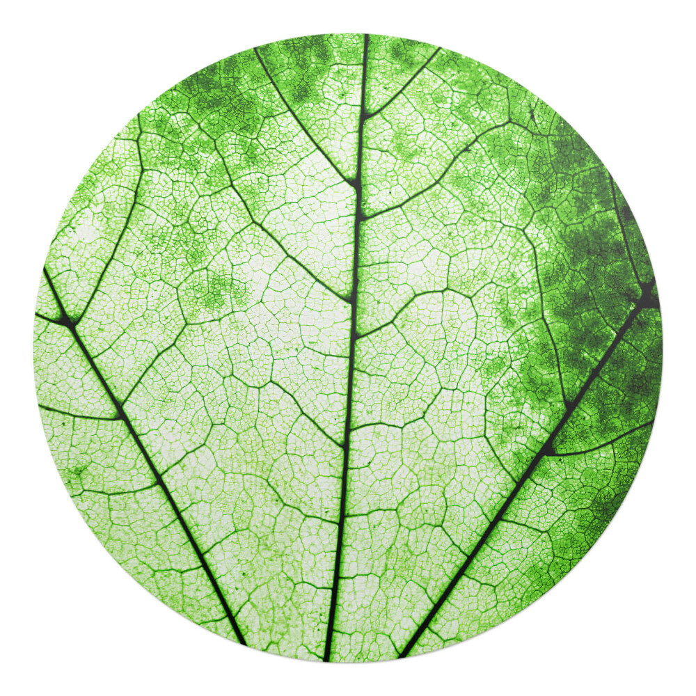 Podložka pod židli kulatá Struktura listových žil