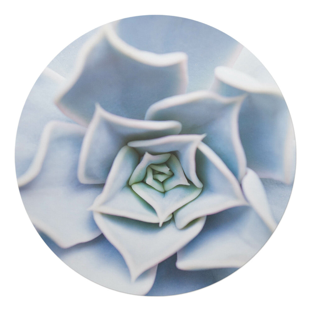 Ochranná podložka pod židli kulatá Spirální sukulenty