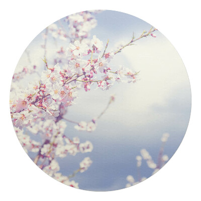 Podložka pod židli kulatá Jarní květiny