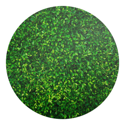 Podložka pod židli kulatá Listnatá stěna přírody