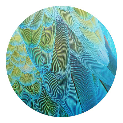 Ochranná podložka pod židli kulatá Ptačí peří zblízka