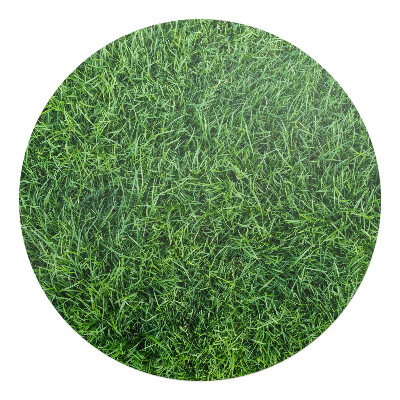 Ochranná podložka pod židli kulatá Šťavnatá tráva