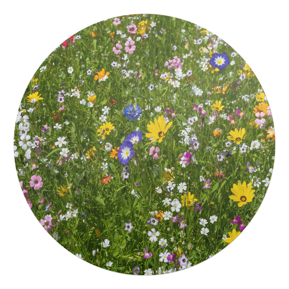 Podložka pod židli kulatá Květnatá louka