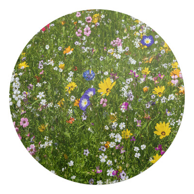 Podložka pod židli kulatá Květnatá louka