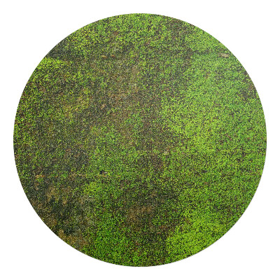 Podložka pod židli kulatá Mech na povrchu