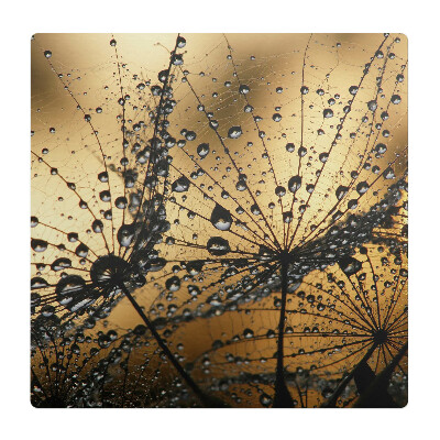 Ochranná podložka na podlahu Kapky na pavučině