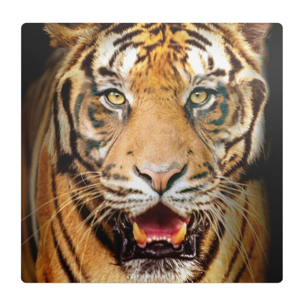 Ochranná podložka pod židli Tygr - detail tlamy